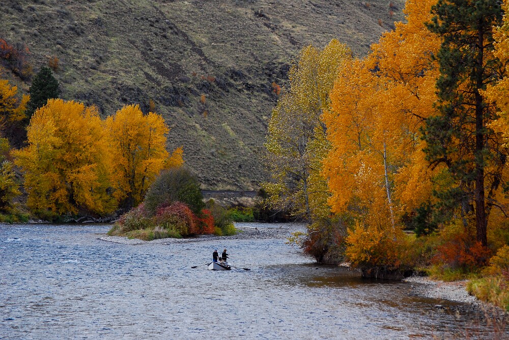 yakima-river-canyon-bighorn-fall
