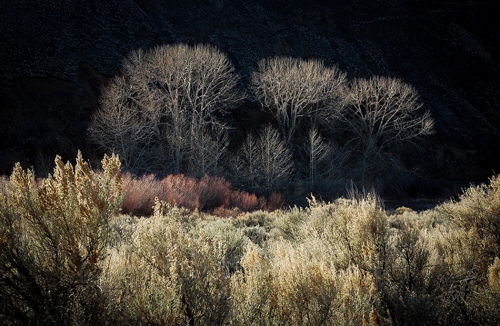 yakima-river-evening-light
