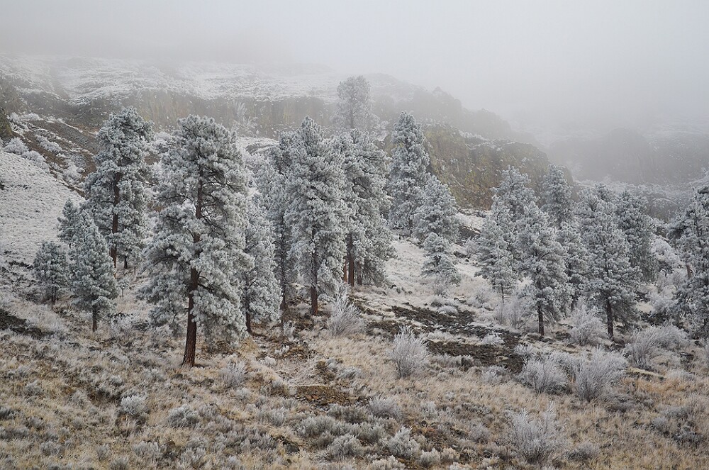 yakima-river-frost-1