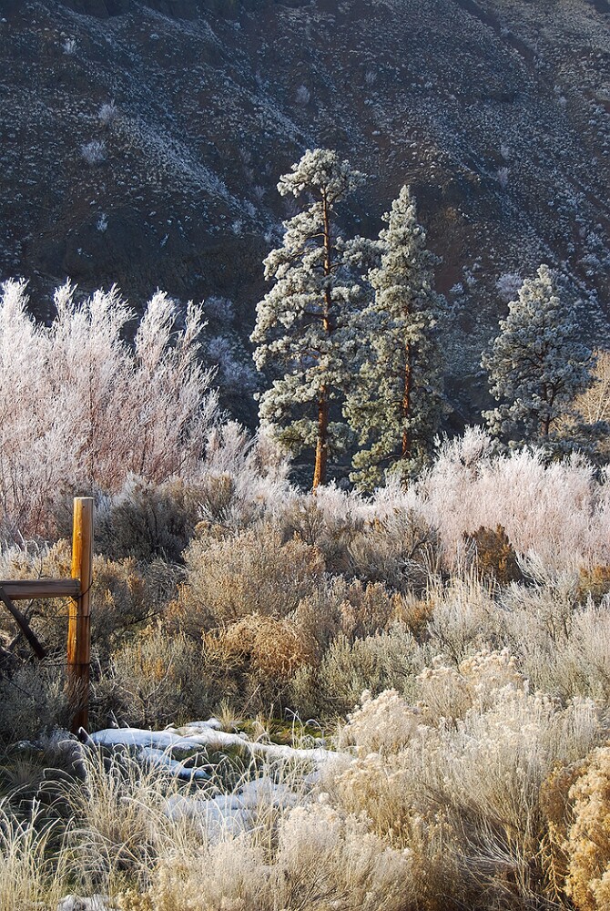 yakima-river-frost-2