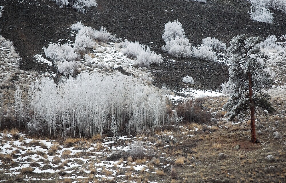 yakima-river-frost-3