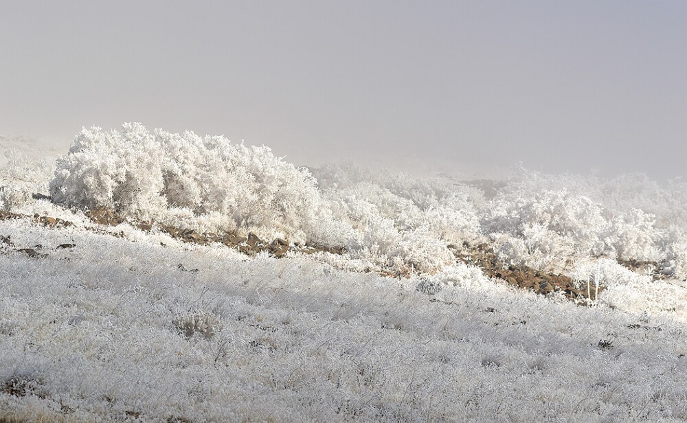 yakima-river-frost-4