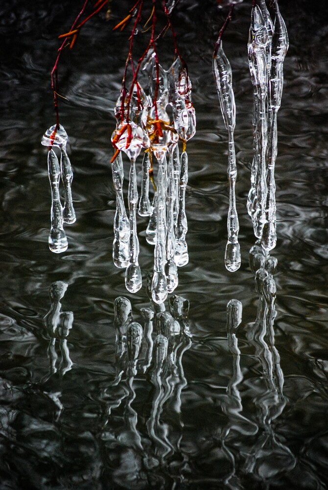 yakima-river-icicles