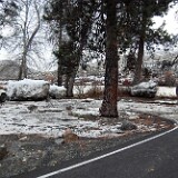 winter-thaw-big-pines