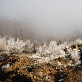 yakima-river-canyon-frost