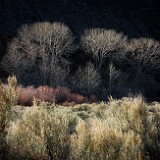 yakima-river-evening-light