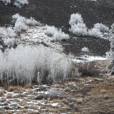 yakima-river-frost-3