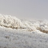 yakima-river-frost-4