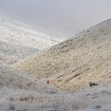 yakima-river-frost-deer