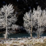 yakima-river-frost
