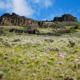 canyon spring