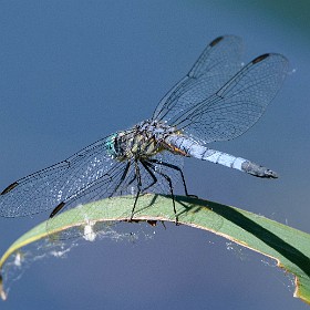Yakima River Canyon Ponds