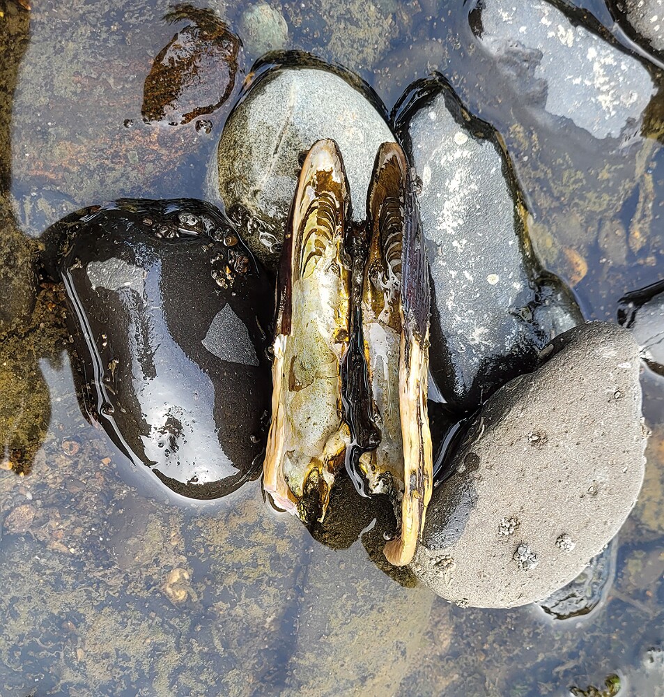 20250909 162611-Edita