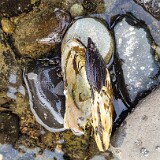 20250909 162617-Edita