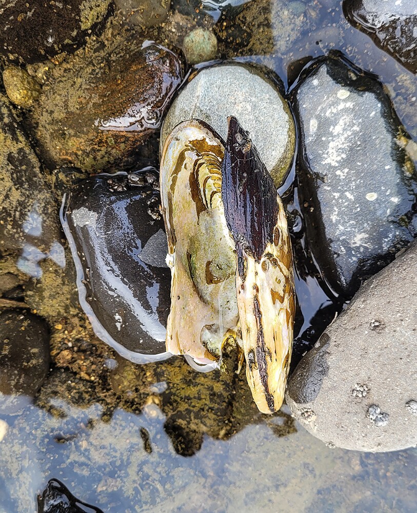 20250909 162617-Edita