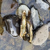 20250909 162611-Edita