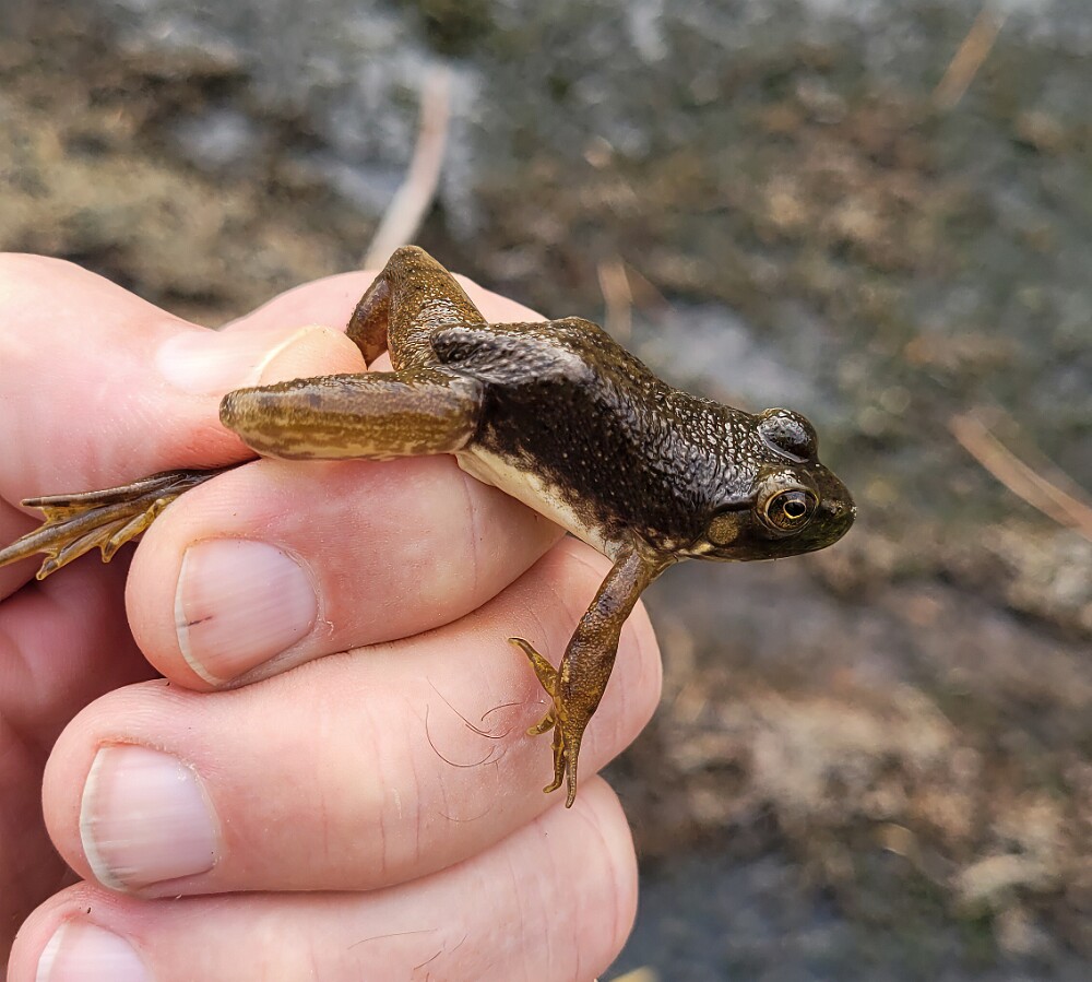 20250909 163346-Edit