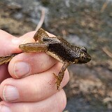 20250909 163346-Edit